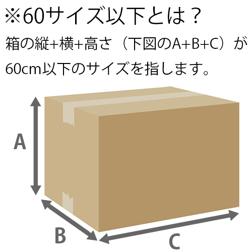 60サイズ