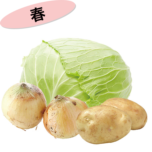 春野菜