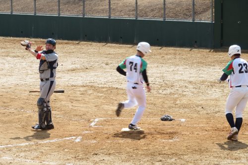 第41回東日本軟式野球大会（2部）新潟県予選会の模様