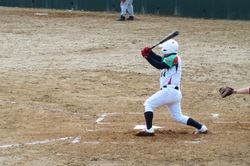 第41回東日本軟式野球大会（2部）新潟県予選会の模様