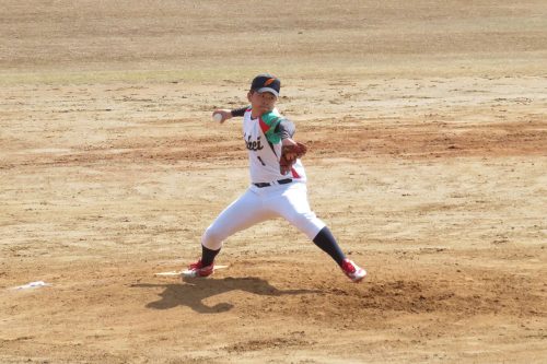 第41回東日本軟式野球大会（2部）新潟県予選会の模様