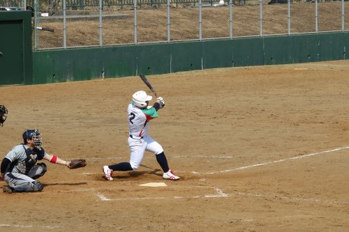 第41回東日本軟式野球大会（2部）新潟県予選会の模様