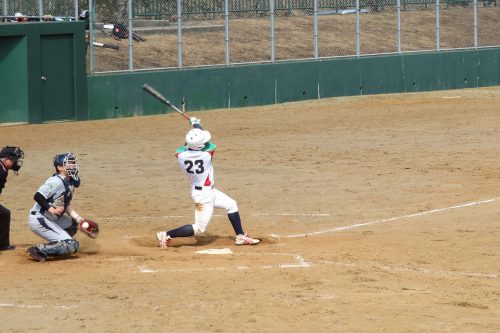 第41回東日本軟式野球大会（2部）新潟県予選会の模様