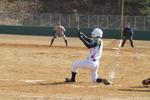 第41回東日本軟式野球大会（2部）新潟県予選会の模様