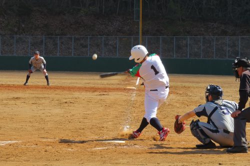 第41回東日本軟式野球大会（2部）新潟県予選会の模様