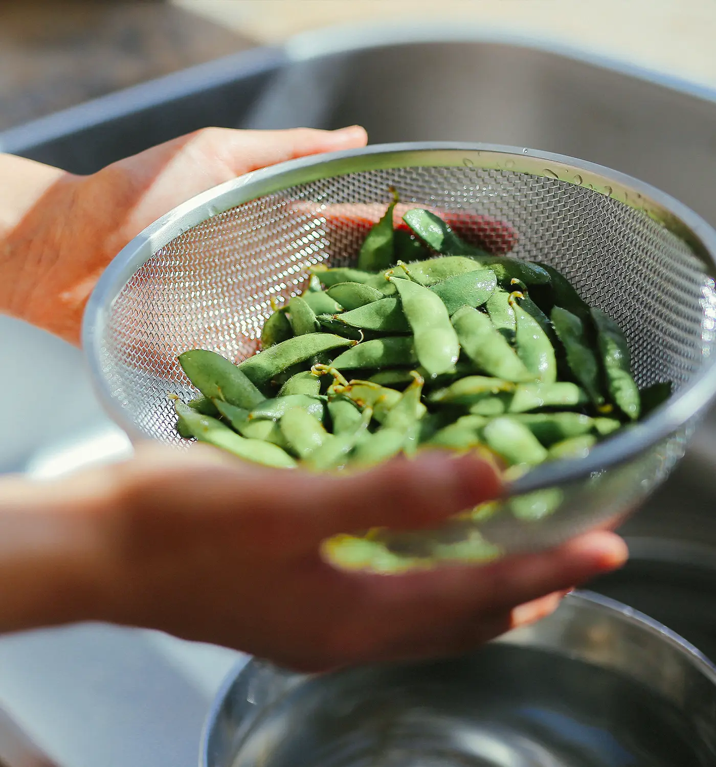 enzo ステンレスざる
