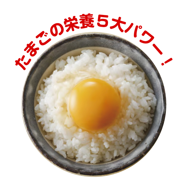 たまごの栄養5大パワー!