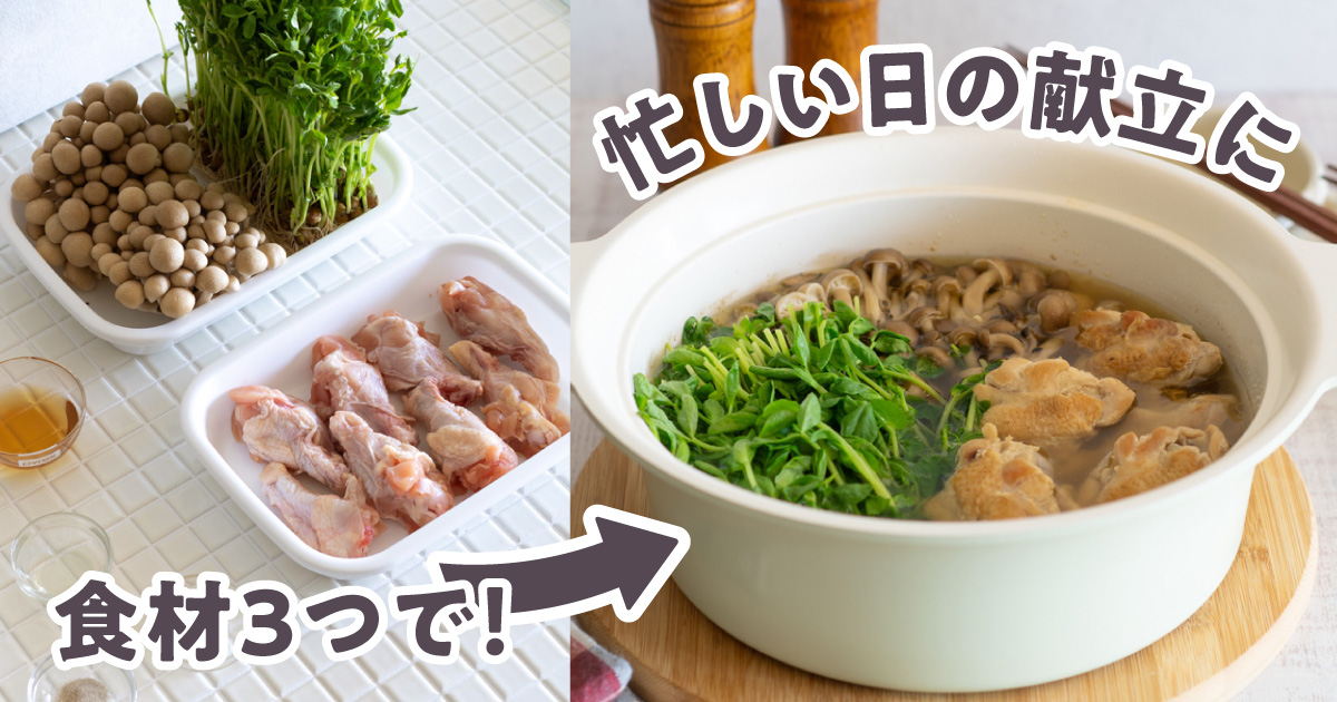 アルモンデ・ライト紹介ブログ