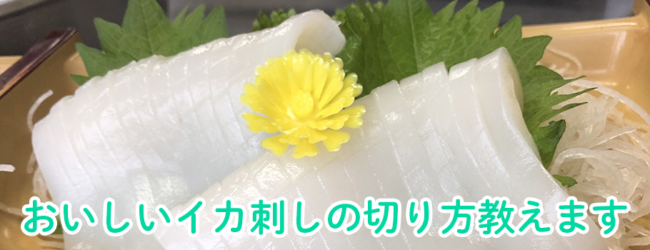 冷凍するめいかを丸ごと楽しむ!刺身用の切り方と各部位のおろし方