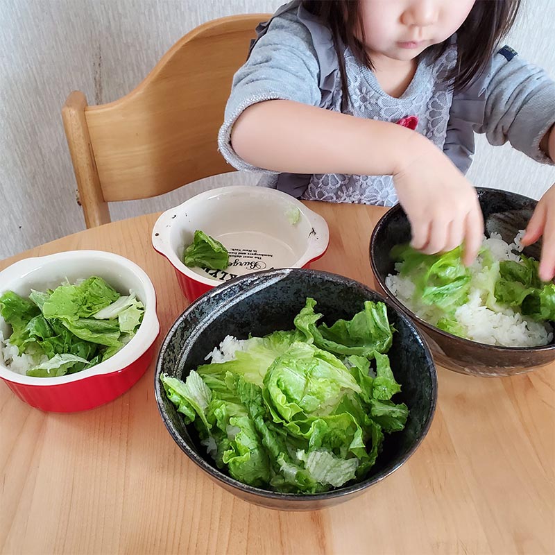 丼にレタスを並べる